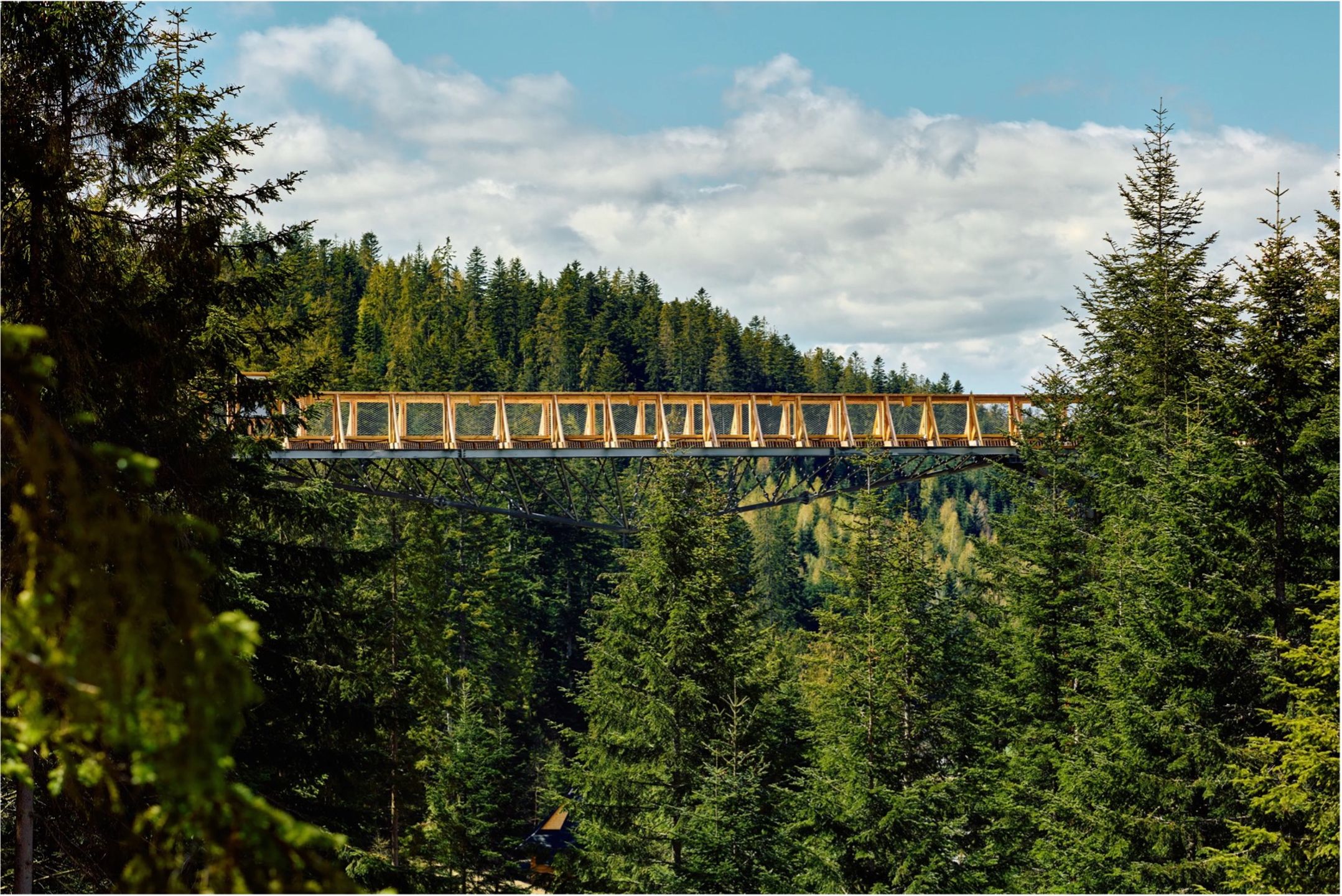 Zdjęcie dla wycieczki: Tropem natury – Brama w Gorce