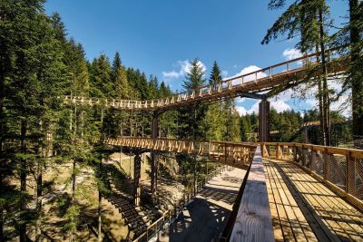 Zdjęcie dla wycieczki: Tropem natury – Brama w Gorce