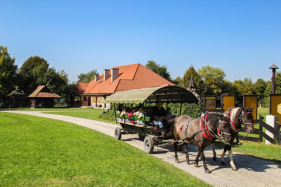 Skamieniałe Miasto i Bartnik Sądecki zdjęcie 7